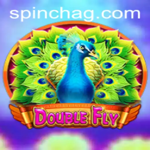 Exploring the Thrilling World of DoubleFly: Game Introduction and Rules