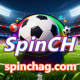 spinchag.com favicon
